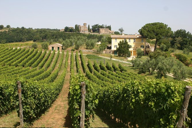 Wine Tasting and Winery Tour - Good To Know