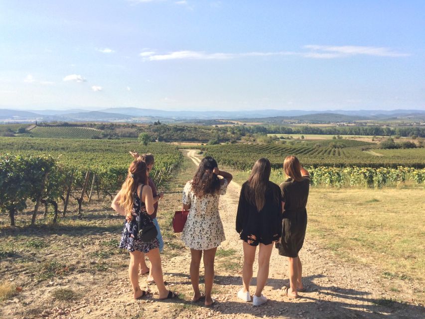 Wine Tour Cathar Country - Key Points