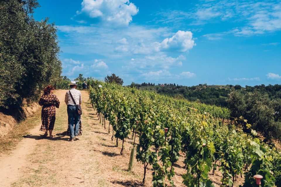 Wine Tour in a Family Winery in Tuscany - Key Points