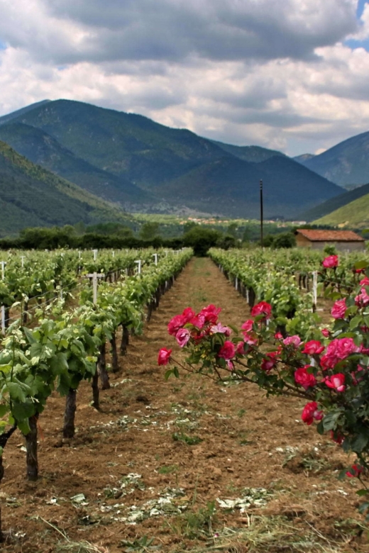 Wine Tour & Tasting in an Organic Winery in Arcadia, Greece - Key Points