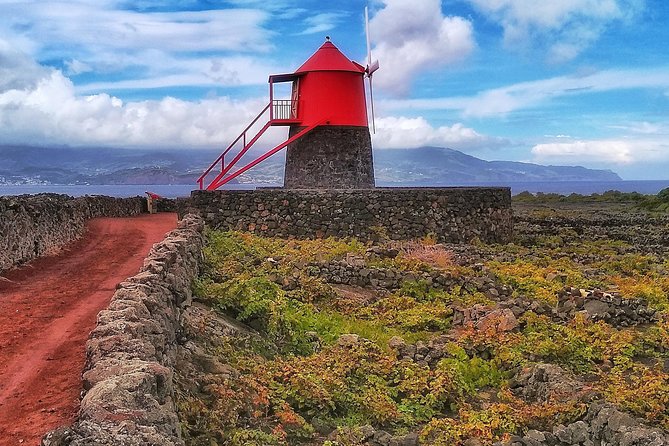 Wine Tour - Itinerary and Schedule