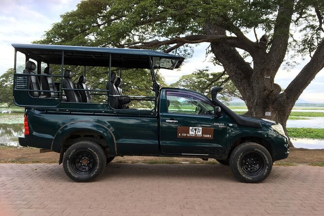 YALA National Park Full Day Tour With Breakfast and Lunch - Key Points