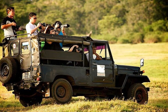 Yala Safari Tours From Yala/Thissamaharamaya/Hambantota - Key Points