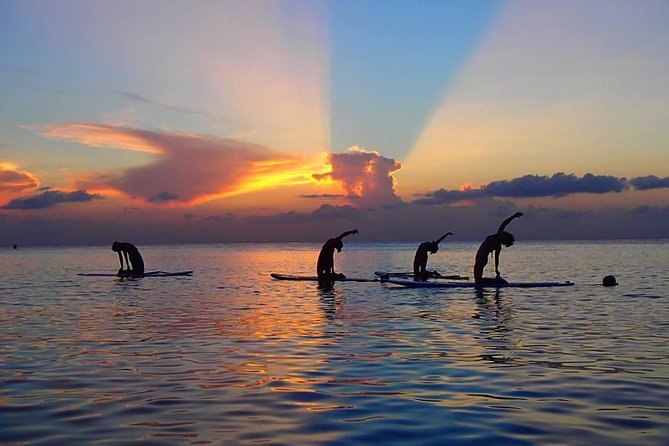 Yoga Paddle Aqua Zen, Yoga on a Floating Carpet in Connection With Nature!