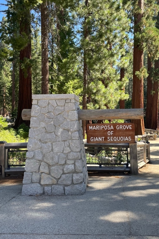 Yosemite, Giant Sequoias, Private Tour From San Francisco - Key Points