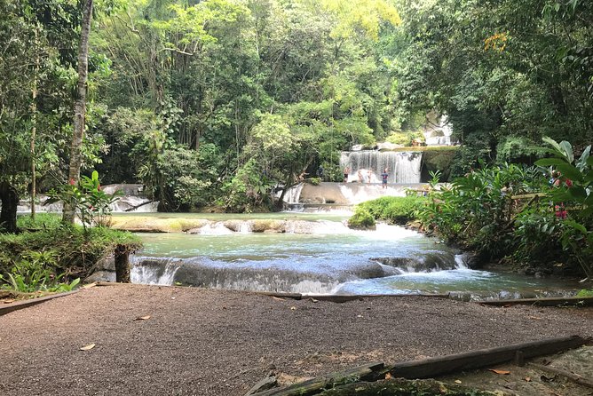 YS Falls Private Full-Day Adventure Tour With Pickup - Overview of YS Falls Tour