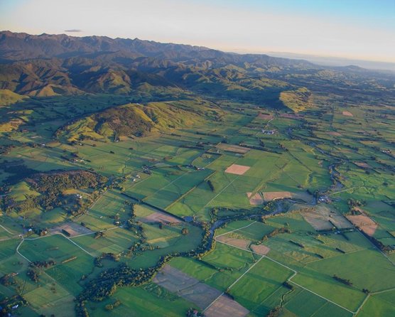 1/2 Day Martinborough Chefs Wine Tour With Lunch From Wellington - Key Points