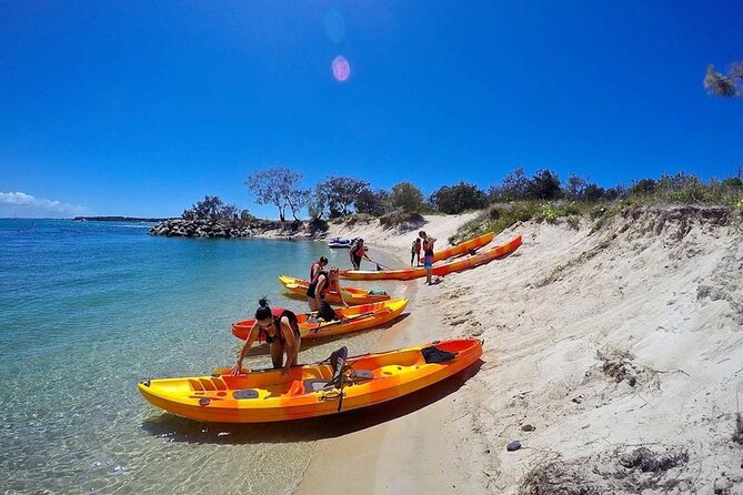 2.5hr Gold Coast Kayaking & Snorkelling Tour - Experience Highlights