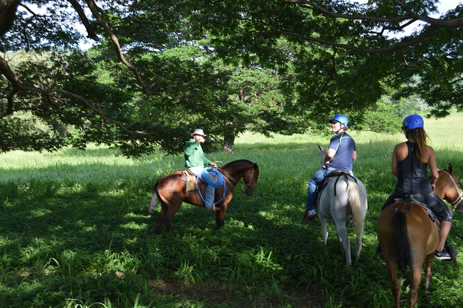 2-Hour Horseback Riding Tour in Guanacaste - Tour Highlights