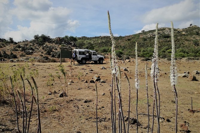 4×4 Excursion Between Mountain and Sea