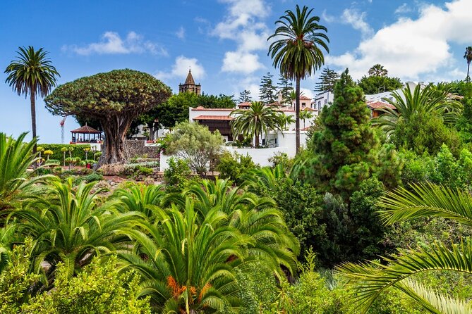 6 Hrs Private Tour In Tenerife - Pickup Information