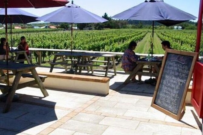 6hr Martinborough Chefs Private Wine Tour ŵ Lunch From Wellington