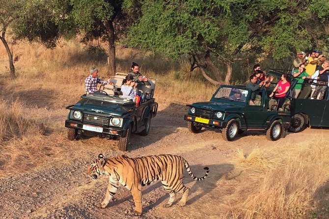 7-Days Private Golden Triangle & Ranthambore Tour Includes,Hotel,Car,Safari