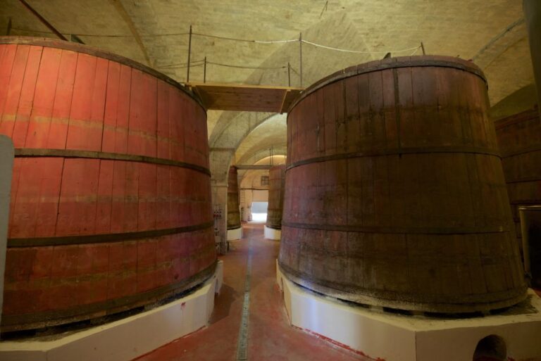 Abruzzo: Historic Cellar Wine Tour and Tasting