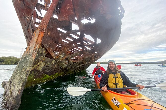 Adelaide Dolphin Sanctuary and Ships Graveyard Kayak Tour - Wildlife Sightings