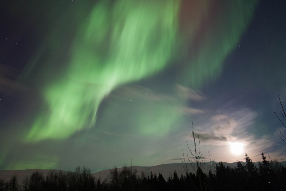 Akureyri: Northern Lights Tour in North Iceland