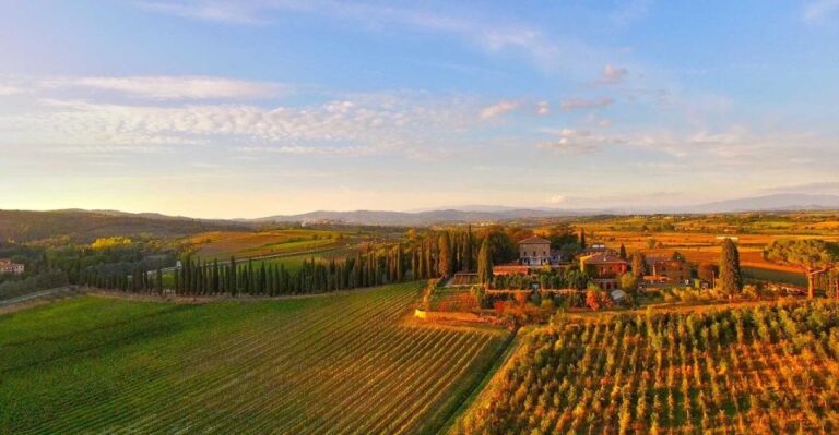 Arezzo: Val Di Chiana Wine Tasting Experience