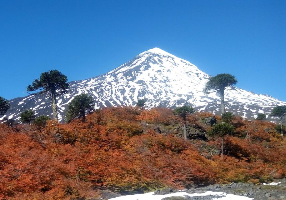 Ascent to Lanin Volcano, 3,776 Meters Above Sea Level, From Pucón - Climbing Experience Details