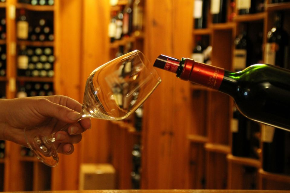 Avignon City of Popes & Wine Tasting Private Full Day Tour - Overview of the Tour
