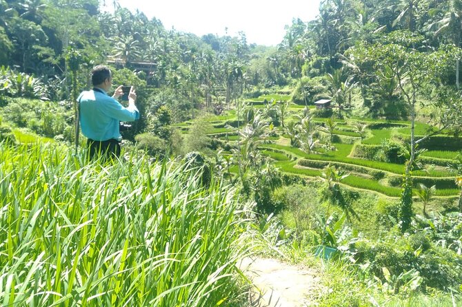 Best of Bali Scenic And Waterfall Private Guided Tour