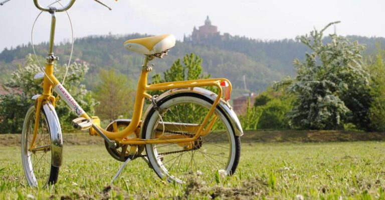 Bologna: Panoramic Bike Tour