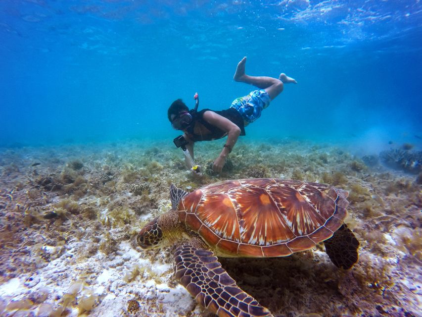 Cartagena: 5 Islands Boat Tour With Lunch, Snorkeling, & Bar