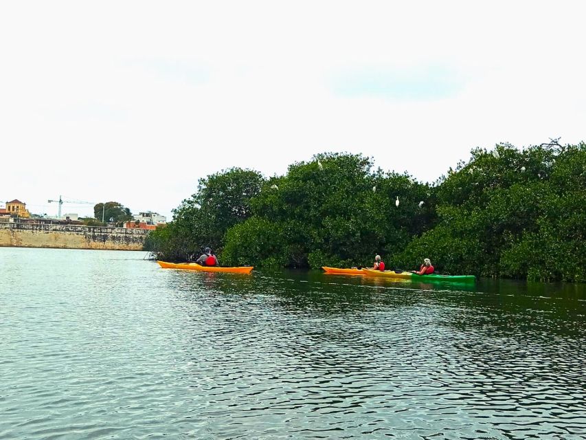 Cartagena: Walled City Kayak Tour - Overview of the Kayak Tour