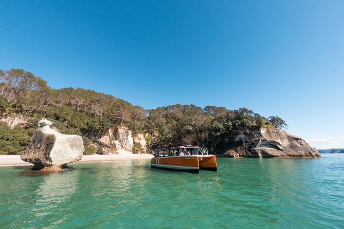 Cathedral Cove Coast and Cave Activity