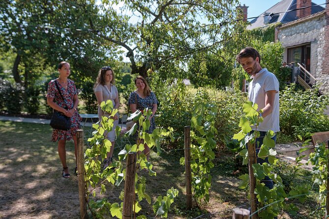 Champagne Tasting Class and Lunch Near Epernay