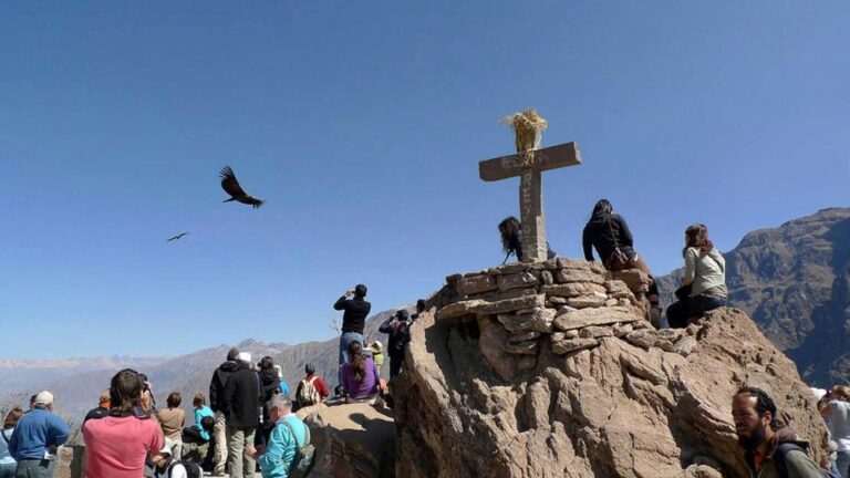 Chivay + the Viewpoint of the Colca Canyon |Condors|