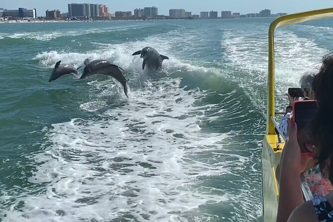 Clearwater Beach Dolphin Speedboat Adventure With Lunch & Transport From Orlando - Overview of the Adventure