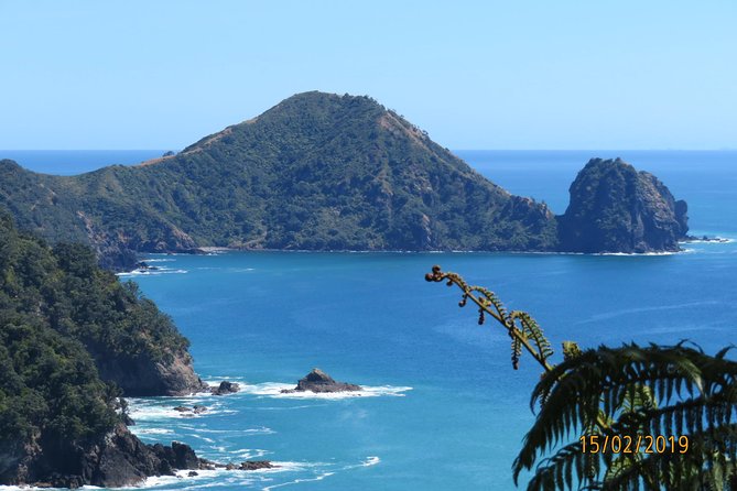 Coromandel Coastal Walkway Day Tour Ex Colville