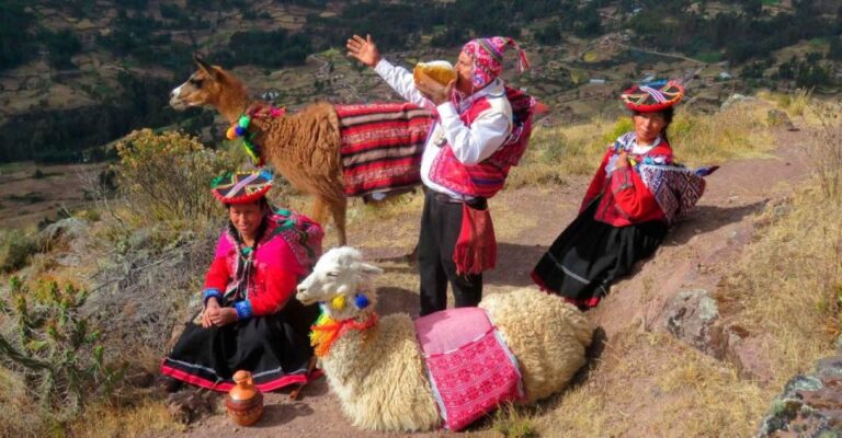 Cusco: Alpaca Therapy + Healing With Clay – Lunch – Private