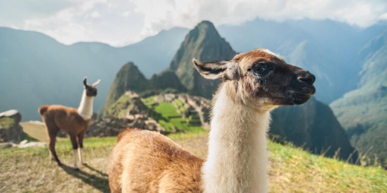 Cusco: Sacred Valley Connection With Machu Picchu 2 Days