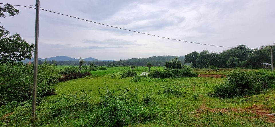 Daringbadi Delight: Immerse in Authentic Rural Odisha Exper - Overview of Daringbadi Experience