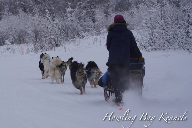 Dog Sled Adventure - Meeting Location Details