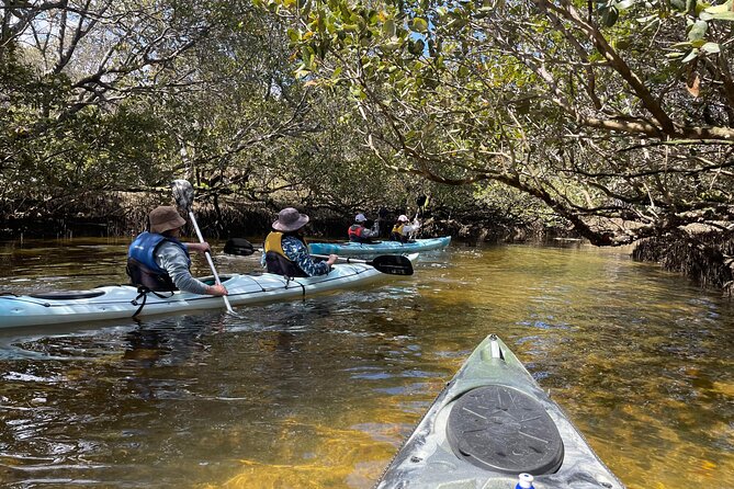 Dolphin Sanctuary Kayak Tour Adelaide