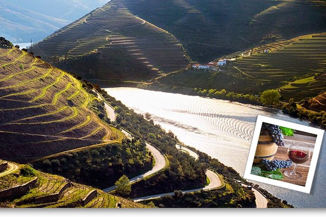 Douro Valley Private Premium Tour With Wine Tasting (1 to 4 People) - Unique Tour Experience