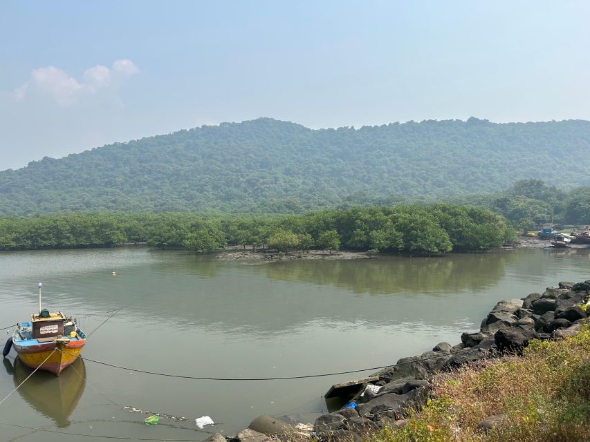 Explore Elephanta Caves Tour