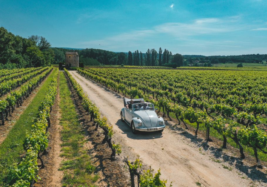 Explore Provence in a Beetle! - Experience Vintage Car Rentals