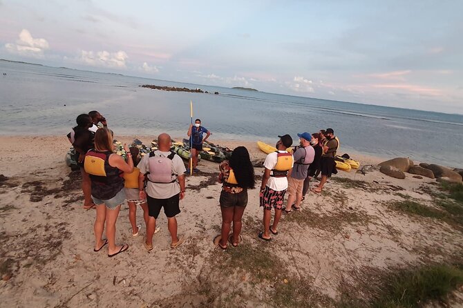 Fajardo Bioluminescent Bay Night Kayak Adventure From San Juan