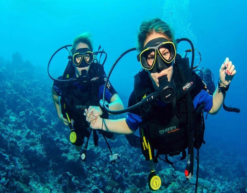 Fethiye: 2 Guided Scuba Dives With Lunch and Hotel Transfers - Overview of the Experience