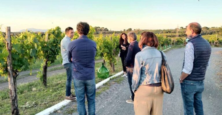 Frascati Vineyards Guided Tour With Wine Tasting