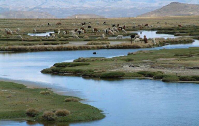 From Arequipa: Salinas Lagoon Full-Day Trip With Hot Springs