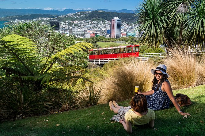 From Cave to Coast Wellington Highlights Tour