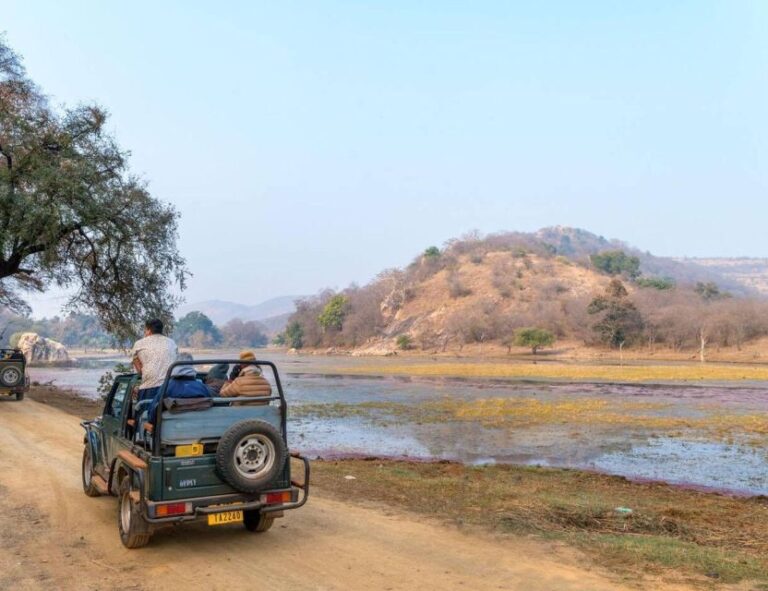 From Jaipur: Overnight Ranthambore Tiger Safari Private Tour