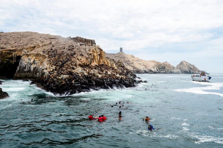 From Lima: Tour Palomino Islands – Callao Bay |Half Day|