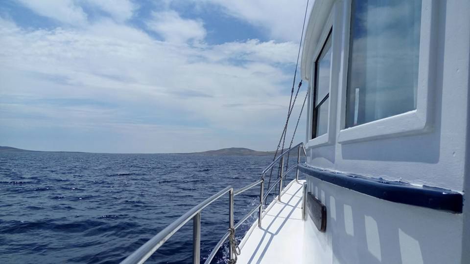 From Mykonos: Full-Day Ancient Delos & Rhenia Island Cruise