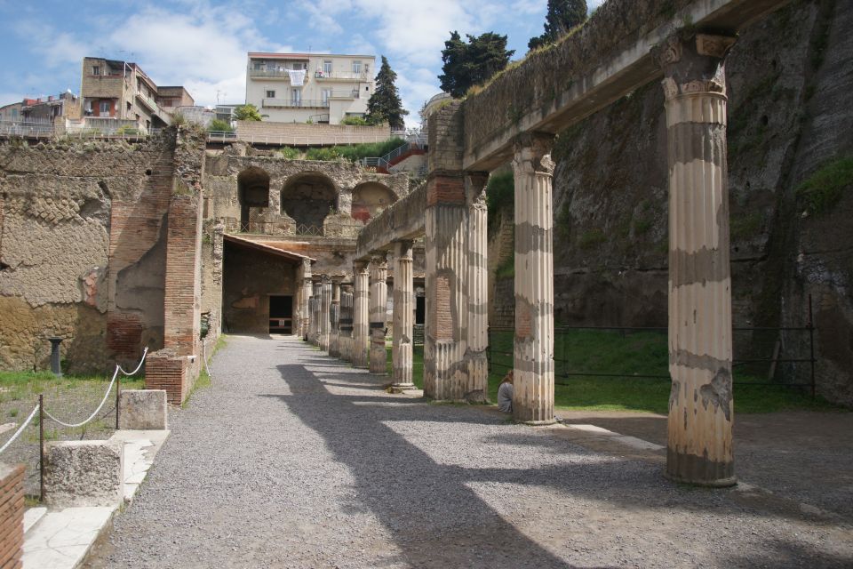 From Naples or Herculaneum: Half-Day Tour in Herculaneum - Tour Overview and Pricing