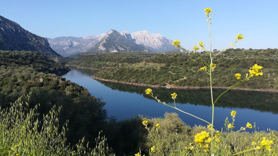 From Orosei or Dorgali: Guided Hiking Day Trip to Tiscali